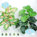 800円OFFクーポン 造花 インテリア プチグリーン アレンジ グリーン 観葉植物 人工観葉植物 フェイクグリーン 装飾 おしゃれ 抗菌 防臭 インテリア雑貨...