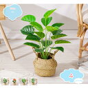 フェイクグリーン 55cm 観覧植物 人工観葉樹 観葉植物 フェイク 造花 シンプル オフィス 室内 インテリア 大型 鉢 おしゃれ 人工 お祝い フェイクグリ...
