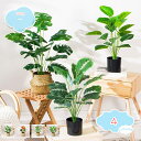 フェイクグリーン 55cm 観覧植物 人工観葉樹 観葉植物 フェイク 造花 シンプル オフィス 室内 インテリア 大型 鉢 おしゃれ 人工 お祝い フェイクグリ...