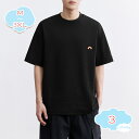 1000円OFFクーポン Tシャツメンズ 服 半袖 大きいサイズ ゆったり カットソー シルエット ビッグT 涼しい 五分袖 綿 柄 おおきい サイズ 柔らかい...
