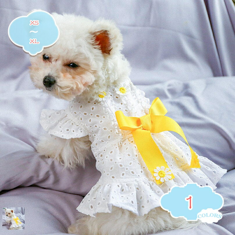 777OFFݥ  ԡ ڥå   ǭ 襤ۤβֳʻ ɥ쥹 뤯ʤ Ф...