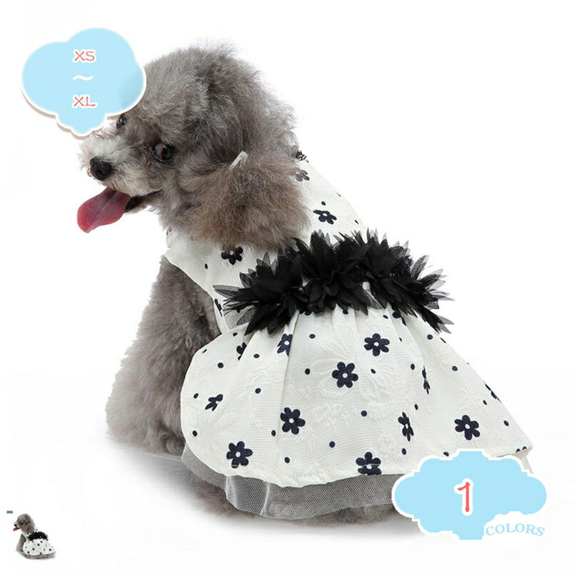 犬ドレスワンちゃん猫服記念撮影白ホ...
