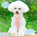 300円OFFクーポン 犬ハーネス リードセット 散歩 小中型犬 ペット用品 おしゃれ 可愛い ベスト 軽量 調節可能 胴輪 レース メッシュ ハーネス 犬猫用...