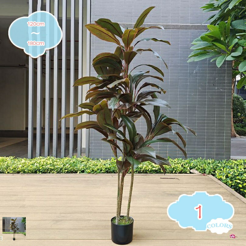 インテリアグリーン 観葉植物 フェ�