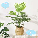 500円OFFクーポン 人工観葉植物 ヤシの木 本物そっくり 人工植物 鉢植え 屋内 オフィス 事務所 自宅 玄関 室内装飾 フェイクグリーン 熱帯のヤシの木 造花 観葉樹 卓上 鉢付き おしゃれ インテリア 世話いらず 水やり不要 玄関 オフィス 新築祝い 母の日 shopcp