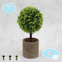 777円OFFクーポン 2個セット 人工観葉植物 ミニ 鉢植え ボール植物 人工グリーン植物 フェイクグリーン かわいい 人工植物 インテリア 玄関 窓側 リビング オフィス レジャー 寝室 居間 コーヒーテーブル 窓辺 バルコニー 飾り 葉っぱ 母の日 父の日 ギフ shopcp