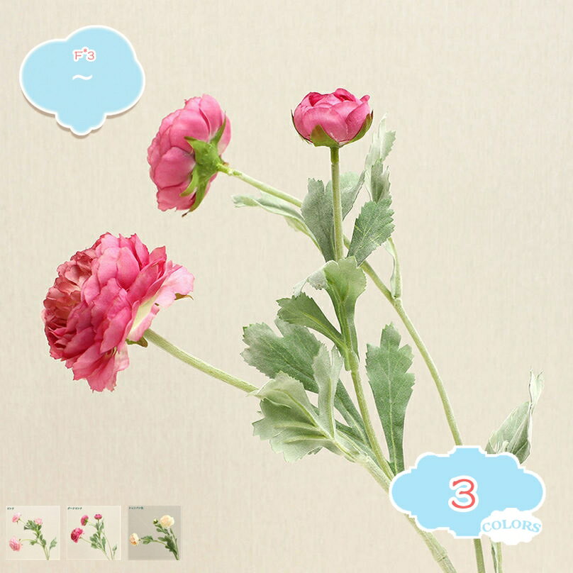 800OFFݥ 3ܥå ¤ Х ԥ   « ƥꥢ   ֡ 륯ե ץ쥼...