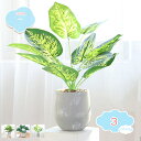 人工観葉植物 卓上 フェイク グリーン おしゃれ インテリア 雑貨 観葉植物 造花 鉢付き 人工 卓上 緑植物 鉢植え 葉 小さい ギフト モンステラ ポトス ...