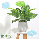 777円OFFクーポン 人工観葉植物 卓上 フェイク グリーン おしゃれ インテリア 雑貨 観葉植物 造花 鉢付き 人工 卓上 緑植物 鉢植え 葉 小さい ギフト モンステラ ポトス アイビー ミニ 鉢植え 栄転のお祝い フェイクグリーン 贈り物 ギフト 記念品 かわいい shopcp