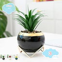 300円OFFクーポン フェイクグリーン ミニポット 人工多肉植物 ミニ鉢植え 人工観葉植物 シミュレーション多肉植物 フェイクグリーン おしゃれ インテリア ...
