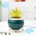 フェイクグリーン ミニポット 人工多肉植物 ミニ鉢植え 人工観葉植物 シミュレーション多肉植物 フェイクグリーン おしゃれ インテリア 卓上 鉢植え 植木鉢 お世話不要 枯れないグリーン ホームデコレーション ミニ観葉植物 ギフト向け プレ shopcp