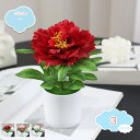 550円OFFクーポン 2点セット 造花 人工観葉植物 牡丹 ローズ 北欧スタイル デコレー アジサイ盆栽 ブーケ ミニ盆栽 ローズレッド ピンク シンプル シ...