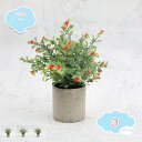 550円OFFクーポン フェイクグリーン 卓上 ミニ 鉢付き 人工観葉植物 おしゃれ インテリア雑貨 インテリア 和風 卓上 世話いらず 水やり不要 オフィス ...