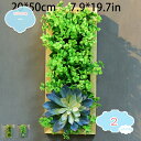 3500円OFFクーポン 人工多肉植物 かわいい 造花 フラワーアレンジメント 壁掛け インテリア フェイクグリーン 人工観葉植物 インテリア 部屋 オフィス ...
