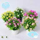 550円OFFクーポン 2点入り 造花 人工梅 春 ミニ鉢植え 卓上 可愛い 本物そっくり ミニ観葉植物 ミニ 人工鉢植え ガーデン 農家 キッチン オフィス ...
