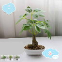 550円OFFクーポン 2点セット フェイクグリーン 卓上 人工観葉植物 かわいい ミニ インテリアグリーン 小型 小さい鉢植えフェイク造花 おしゃれ 室内 オ...