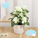 550円OFFクーポン 造花 人工観葉植物 ローズ バラ 鉢植え ミニ 小さい フェイクグリーン 人工観葉植物 インテリア飾り オフィス ホーム 玄関 デコレー...
