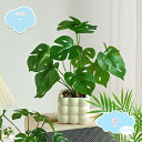 777円OFFクーポン フェイクグリーン 人工観葉植物 卓上 鉢植え 人工モンステラ植物 テーブルデコレーション かわいい おしゃれ インテリアグリーン 屋内 オフィス 事務所 自宅 玄関 室内装飾 人工植物 飾り 枯れない 水やり不要 ギフト モンステラ フェイク観 shopcp