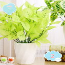 777円OFFクーポン フェイクグリーン 人工観葉植物 卓上 鉢植え テーブルデコレーション かわいい おしゃれ ギフト おしゃれ インテリアグリーン フェイク観葉植物 人工観葉植物 飾り 枯れない インテリア 卓上 鉢植え リアルな外観 水やり不要 鉢植え 人工植 shopcp