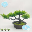 550円OFFクーポン フェイクグリーン 人工松 卓上 鉢植え おしゃれ 人工観葉植物 ミニ ポット インテリア テーブル 窓辺 リビング 枯れない プレゼント...