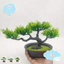 777円OFFクーポン フェイクグリーン 人工松 卓上 鉢植え おしゃれ 人工観葉植物 ミニ ポット インテリア テーブル 窓辺 リビング 枯れない プレゼント 鉢植え 人工植物 インテリア飾り 世話いらず 水やり不要 オフィス ホーム デコレーション 水やり不要 人工 shopcp