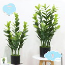 777円OFFクーポン 人工観葉植物 フェイクグリーン 大型 観葉植物 高さ75cm リアル 鉢付き インテリア 鉢植え 本物そっくり フェイクグリーン 人工観葉植物 ポット インテリア 屋内 窓辺 リビング オフィス 室内 熱帯の木 人工観葉植物 人工植物 飾り 枯れ shopcp