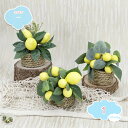 500円OFFクーポン 3点セット 人工観葉植物 ミニ鉢植え 果実付き 卓上置物 本物そっくり レモン 造花 可愛い 枯れない花 レモン 人工盆栽 テーブル 玄...