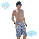 1650円OFFクーポン 水着 メンズ サーフパンツ 海パン 水陸両用 海水パンツ ボードショーツ サーフショーツ 海水浴 プール 大きいサイズ サーフパンツ 海パン 男性用 海水パンツ 旅行 海外旅行 shopcp