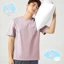 パジャマ メンズ 父の日 柔らかい 2点セット 半袖 柔らかく軽い薄手の快適Tシャツ ゆったり 無地 ルームワンピース オールシーズン 薄手スウェット 快適な眠...