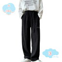 ワイドパンツ メンズ ワイドパンツ プリーツパンツ プリーツ パンツ 涼しい 部屋着 ルームウェア ウエストゴム パンツ ロングパンツ ずぼん ズボン 韓国 フ...