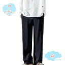 ワイドパンツ メンズ パンツ ワイド 大人 オシャレ スラックス カラーパンツ パンツ 無地 シンプル きれいめ ストレート ワイド ズボン ゆったり ストレッ...