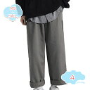 ワイドパンツ ガウチョパンツ メンズ バギーパンツ チノパンツ チノパン ワイド パンツ カーゴパンツ ゆるパンツ 長ズボン 大きいサイズ アメカジ ストリート...