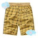 1000円OFFクーポン ショートパンツ メンズ 海水パンツ メンズ水着 水着 男性用 チェック柄 水陸両用 トランクス メンズ 海パン ハーフパンツ サーフパンツ トランクス ビーチウェア スイムウェア 短パン 海 プール ショーパン フィットネス shopcp