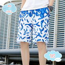 500円OFFクーポン 水着 メンズ ペアルック 海パン サーフパンツ スイムパンツ ビーチパンツ お揃い ハーフパンツ 海水パンツ スイムウエア プール 海水浴 ビーチ リゾート 川 水遊び 夏 おしゃれ カジュアル 恋人 カップル 夫婦 shopcp