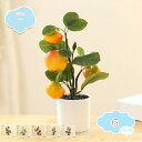 550円OFFクーポン 人工観葉植物鉢植え ミニ 消臭 水やり不要 インテリアグリーン ギフト 玄関 水回り 室内装飾 デスク卓上の装飾 フェイクグリーン イン...
