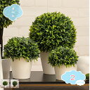 550円OFFクーポン インテリアグリーン 観葉植物 フェイク ミニ 人工 造花 光触媒 消臭 除菌 おしゃれ トピアリーボール 観葉植物 花瓶付き 人工植物 ...