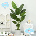 777円OFFクーポン フェイクプラント 人工植物 葉植物 パーティーアレンジメント 結婚式の装飾用 人工観葉植物 観葉植物 鉢付き インテリア 植物 開店祝い 引越祝い ギフト 母の日 父の日 敬老の日 プレゼント 贈り物 お中元 お歳暮 卒業 卒業祝い 入学 shopcp