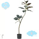 観葉植物 フェイクグリーン 大型 光触媒 空気清浄 インテリア 家の中に置く人工観葉植物 二つの幹 おしゃれ 世話がない 水やり不要のホーム 玄関 キッチン フ...