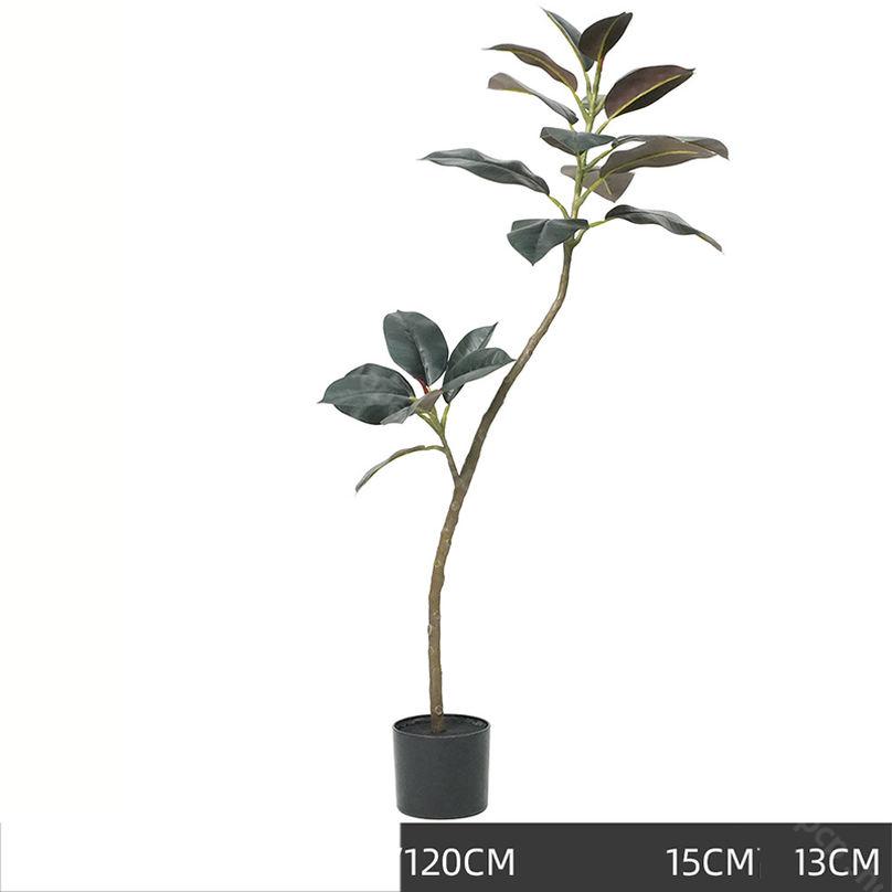 1000��OFF�����ݥ� ���տ�ʪ �ե��������꡼�� �緿 ������ �������� ����ƥꥢ �Ȥ�����֤��͹����տ�ʪ ��Ĥδ� ������� ���ä��ʤ� �������פΥۡ��� ���� ���å��� �ե��������꡼�� ���� �ץ쥼����� ���� �ǥ��졼����� shopcp