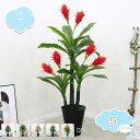 3500円OFFクーポン フェイク植物 フェイク植物 トピアリー フェイク植物の装飾 鉢付き インテリア 植物 開店祝い 引越祝い ギフト 母の日 父の日 敬老...