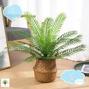 アレカパームツリー プラスチック 屋外対応 アレカパーム フェイクグリーン リーフ ツリー 人工観葉植物 屋外対応 造花 パームリーフ ブッシュ グリーン 茎付き ジャングル植物の葉 ハワイアンルアウパーティー shopcp