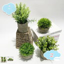 800円OFFクーポン 人工観葉植物 4点セット 造花 鉢植え 光触媒 フェイクグリーン インテリア おしゃれ グリーン デコレーション 枯れない 手作り 本物...