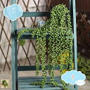 550円OFFクーポン フェイクグリーン 人工観葉植物 自然感 3本入り 防水 高耐久 アーティフィシャル リーフ 葉物 造花藤 ツイッグバイン プラント ガー...