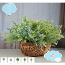 550円OFFクーポン プラスチック フェイクグリーン リーフ ブッシュ 6束 人工観葉植物 アソート 光触媒 グリーン リーフ造花 フレッシュ野草ブッシュ F...