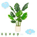 3500円OFFクーポン フェイクグリーン 大型 フェイクモンステラ ナチュラル おしゃれ 人工観葉植物 鉢植え 部屋 オフィス 造園 庭園 坪庭 お祝い 新築...