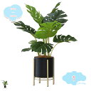 フェイクグリーン 観覧植物 人工観葉樹 観葉植物フェイク 大型 人工観葉植物 フェイクグリーン 大型 室内用 造花 シンプル オフィス 室内 インテリア 大型 ...