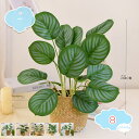 モンステラ 人工観葉植物 卓上 インテリア 大型 おしゃれ かわいい 店舗 エントランス 会議室 オフィス おしゃれ ホテル お祝い 開店祝い 開業祝い 引越し...