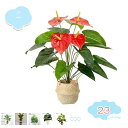 人工観葉植物 フェイクグリーン インテリア 玄関 オフィス リビング 居間 緑のある暮らし 大きい 観葉植物 引っ越し祝い 新築祝い お手入れ簡単 水やり不要 ...