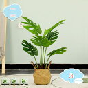 3500円OFFクーポン 人工観葉植物 目隠し 本物そっくり フェイクグリーン 大きい 模様替え おしゃれ インテリア飾り リビング 屋内 オフィス 雑貨 居間...