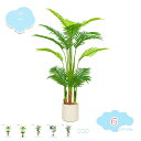 2000円OFFクーポン 人工観葉植物 大型 インテリア 大型 おしゃれ かわいい 店舗 エントランス 会議室 オフィス おしゃれ ホテル お祝い 開店祝い 開業祝い 引越し祝い 造花 水やり不要 枯れない 盆栽植物 フェイクグリーン 熱帯植物 プレゼント shopcp
